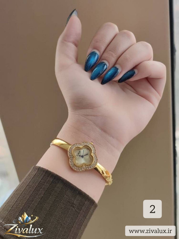 ساعت مچی زنانه مارک زیدو ZIDO بند النگویی طرح ونکلیف